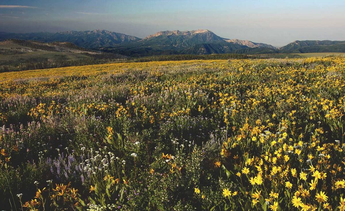 Why Utah Is the Perfect Vacation Rental Destination Year-Round